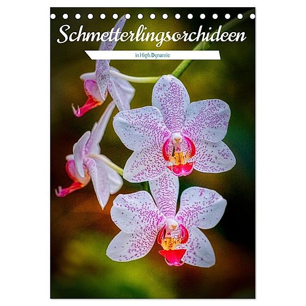 Schmetterlingsorchideen in High Dynamic (Tischkalender 2024 DIN A5 hoch), CALVENDO Monatskalender, Clemens Stenner