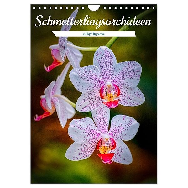 Schmetterlingsorchideen in High Dynamic (Wandkalender 2024 DIN A4 hoch), CALVENDO Monatskalender, Clemens Stenner