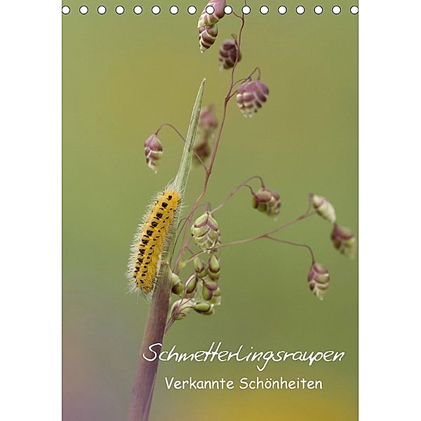 Schmetterlingsraupen - Verkannte Schönheiten (Tischkalender 2018 DIN A5 hoch), Claudia Pelzer