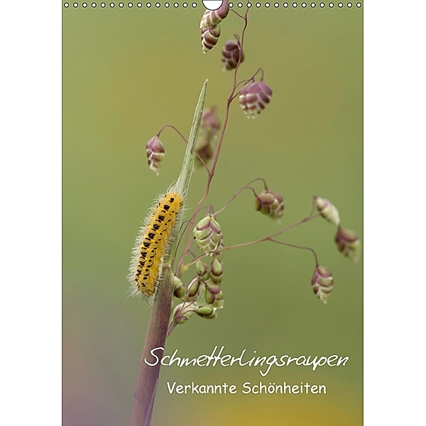 Schmetterlingsraupen - Verkannte Schönheiten (Wandkalender 2018 DIN A3 hoch), Claudia Pelzer