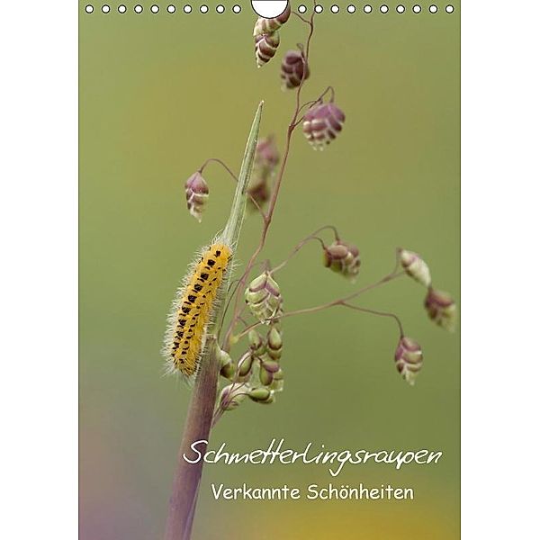 Schmetterlingsraupen - Verkannte Schönheiten (Wandkalender 2017 DIN A4 hoch), Claudia Pelzer