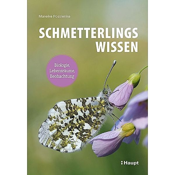 Schmetterlingswissen, Mareike Possienke