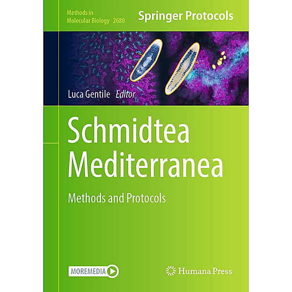 Schmidtea Mediterranea