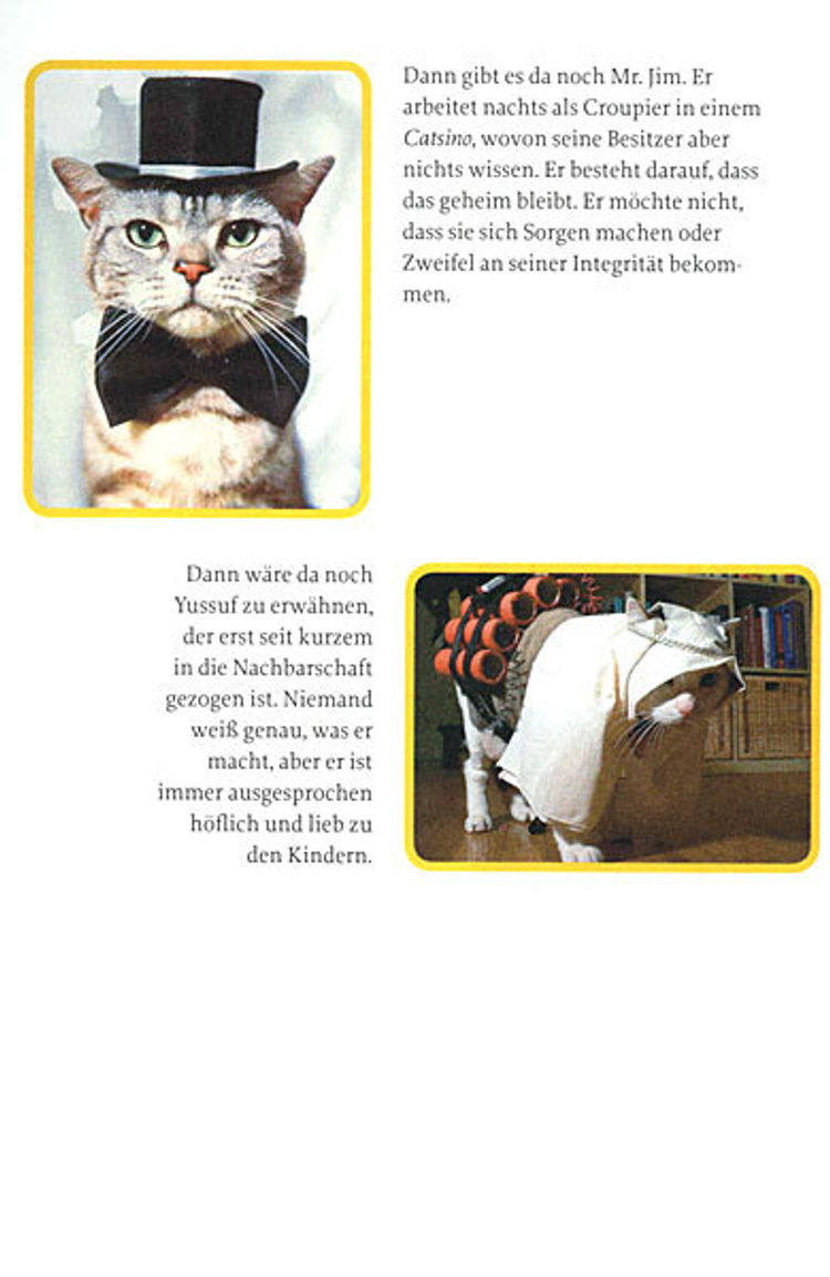 Schmitz' Katze - Kommentare jetzt bei Weltbild.at lesen