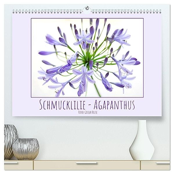 Schmucklilie - Agapanthus (hochwertiger Premium Wandkalender 2024 DIN A2 quer), Kunstdruck in Hochglanz, Gisela Kruse