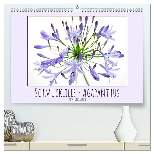 Schmucklilie - Agapanthus (hochwertiger Premium Wandkalender 2025 DIN A2 quer), Kunstdruck in Hochglanz, Calvendo, Gisela Kruse