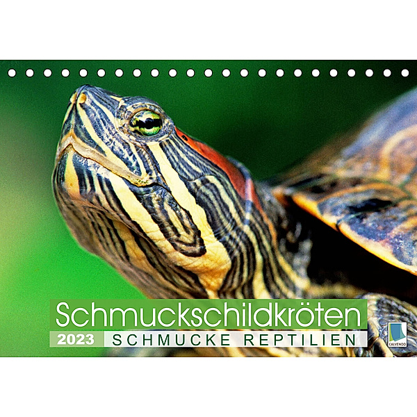 Schmuckschildkröten: Schmucke Reptilien (Tischkalender 2023 DIN A5 quer), Calvendo