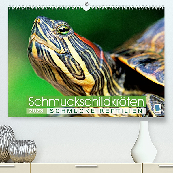 Schmuckschildkröten: Schmucke Reptilien (Premium, hochwertiger DIN A2 Wandkalender 2023, Kunstdruck in Hochglanz), Calvendo