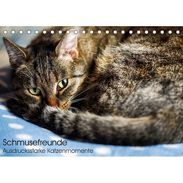 Schmusefreunde (Tischkalender 2022 DIN A5 quer), Linda Geisdorf
