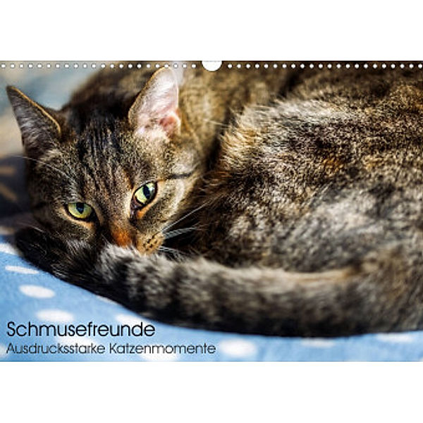 Schmusefreunde (Wandkalender 2022 DIN A3 quer), Linda Geisdorf