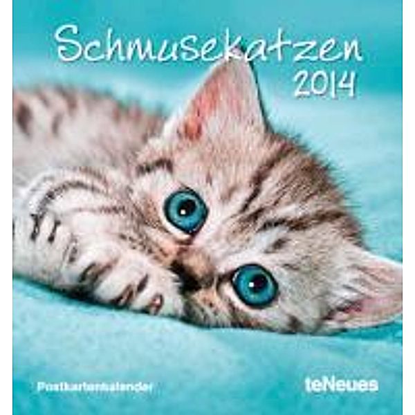Schmusekatzen 2014. Postkartenkalender