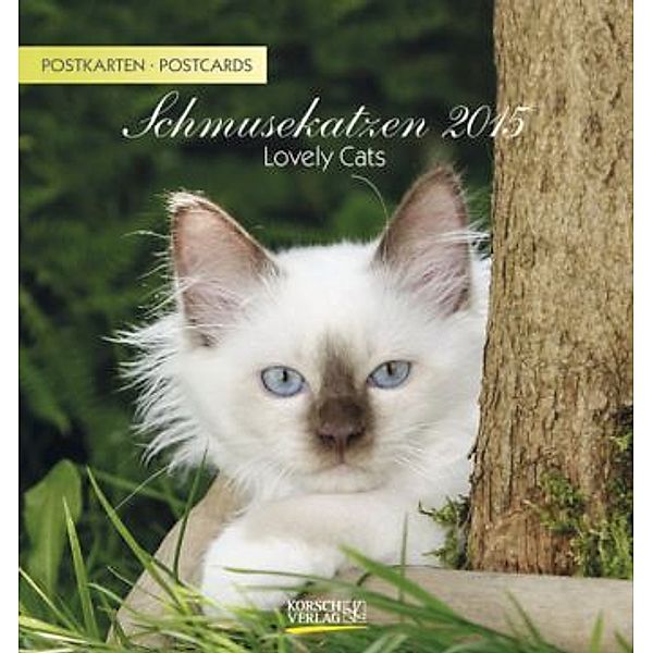 Schmusekatzen 2015