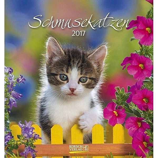 Schmusekatzen 2017