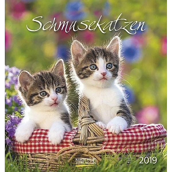 Schmusekatzen 2019