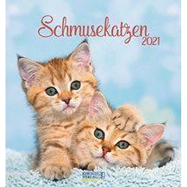 Schmusekatzen 2021