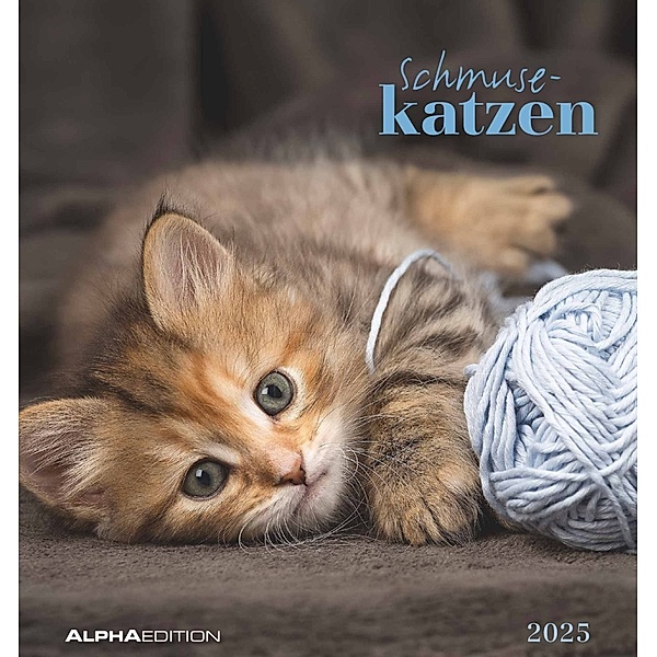 Schmusekatzen 2025 - Postkartenkalender 16x17 cm - Katzen - zum Aufstellen oder Aufhängen - Monatskalendarium - Gadget - Mitbringsel - Alpha Edition