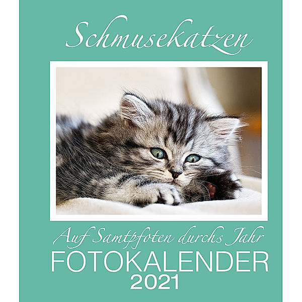 Schmusekatzen Foto-Terminkalender 2021