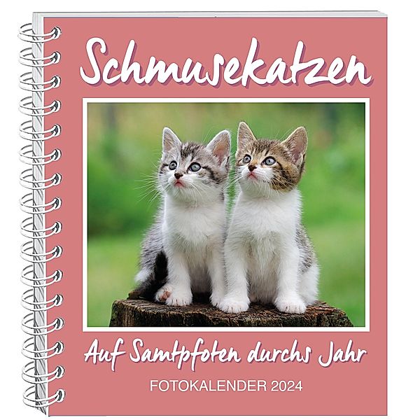 Schmusekatzen Fotokalender 2024