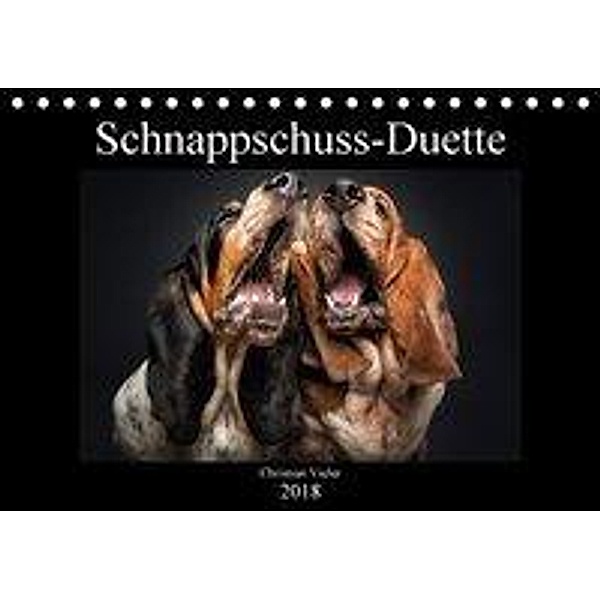 Schnappschuss-Duette (Tischkalender 2018 DIN A5 quer), Christian Vieler