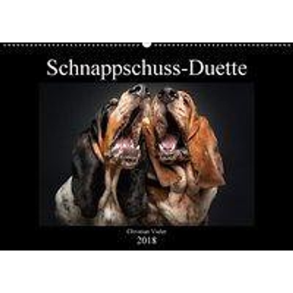 Schnappschuss-Duette (Wandkalender 2018 DIN A2 quer), Christian Vieler