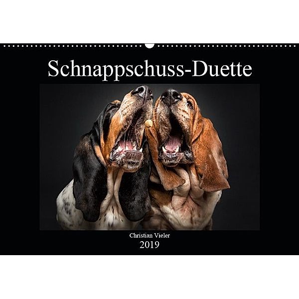 Schnappschuss-Duette (Wandkalender 2019 DIN A2 quer), Christian Vieler