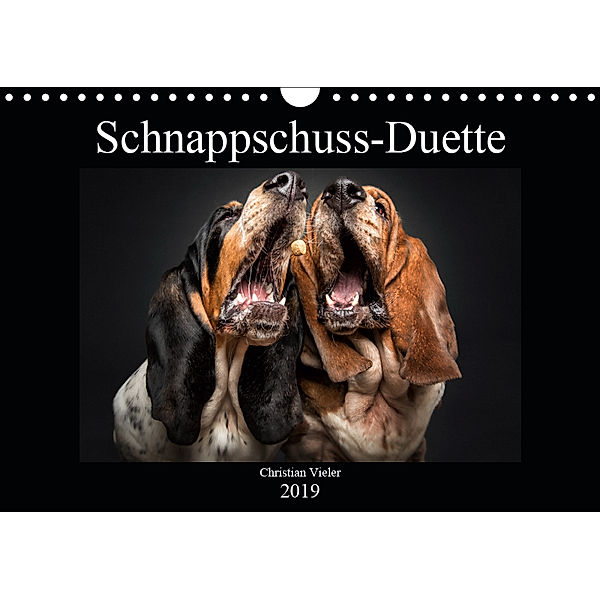 Schnappschuss-Duette (Wandkalender 2019 DIN A4 quer), Christian Vieler