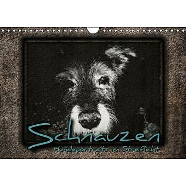 Schnauzen - Hundeportraits im Streiflicht (Wandkalender 2016 DIN A4 quer), Renate Bleicher