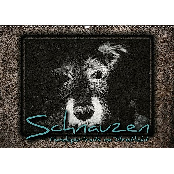Schnauzen - Hundeportraits im Streiflicht (Wandkalender 2018 DIN A2 quer), Renate Bleicher