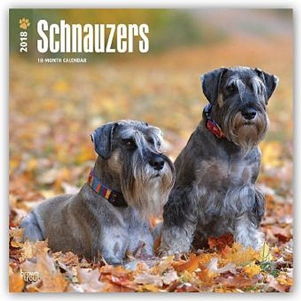 Schnauzer 2018, BrownTrout Publisher