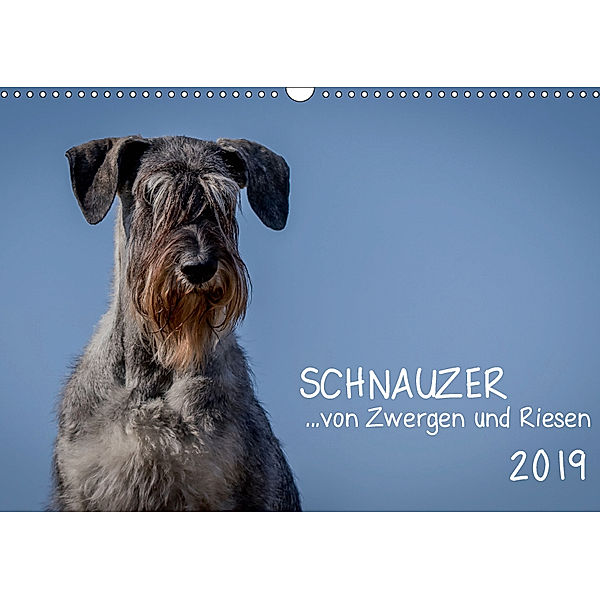 Schnauzer... von Zwergen und Riesen 2019 (Wandkalender 2019 DIN A3 quer), Michael Janz