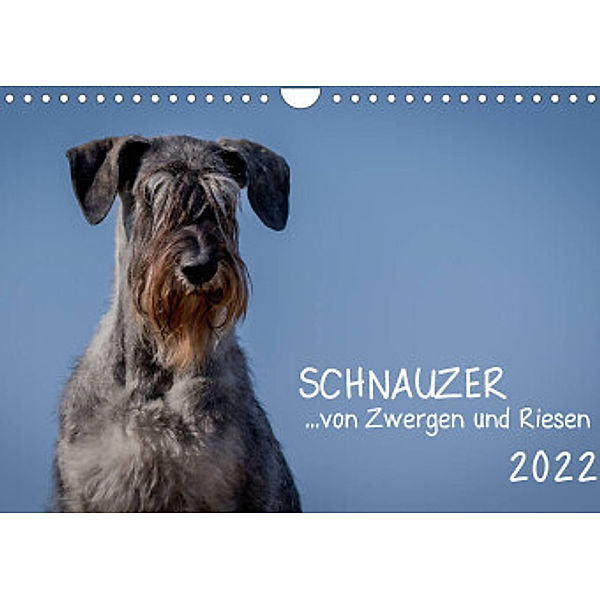 Schnauzer... von Zwergen und Riesen 2022 (Wandkalender 2022 DIN A4 quer), Michael Janz