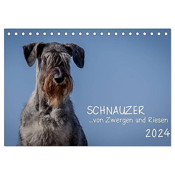 Schnauzer... von Zwergen und Riesen 2024 (Tischkalender 2024 DIN A5 quer), CALVENDO Monatskalender, Michael Janz