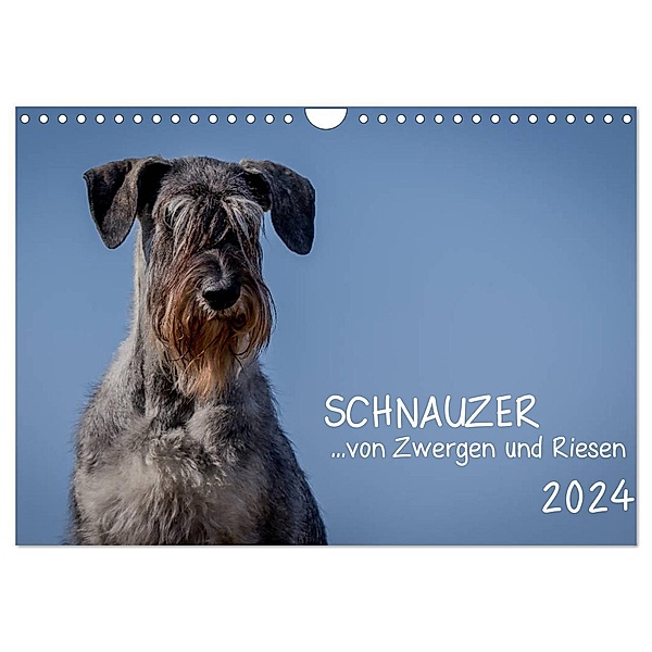 Schnauzer... von Zwergen und Riesen 2024 (Wandkalender 2024 DIN A4 quer), CALVENDO Monatskalender, Michael Janz
