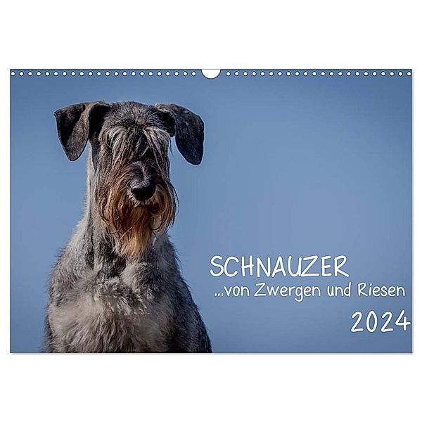 Schnauzer... von Zwergen und Riesen 2024 (Wandkalender 2024 DIN A3 quer), CALVENDO Monatskalender, Michael Janz