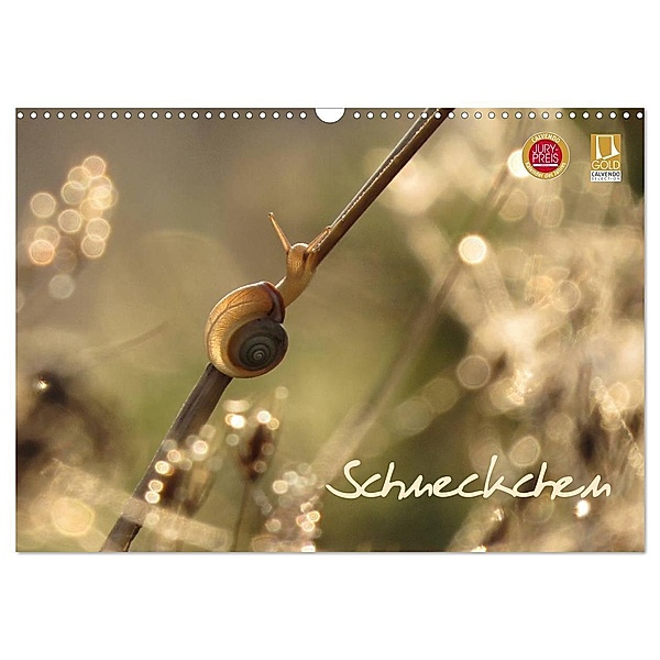 Schneckchen (Wandkalender 2024 DIN A3 quer), CALVENDO Monatskalender, Judith Doberstein