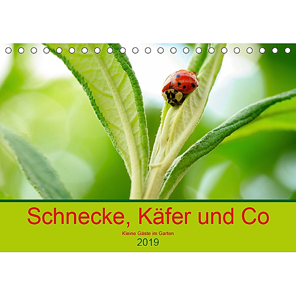Schnecke, Käfer und Co (Tischkalender 2019 DIN A5 quer), Ilse Kunz