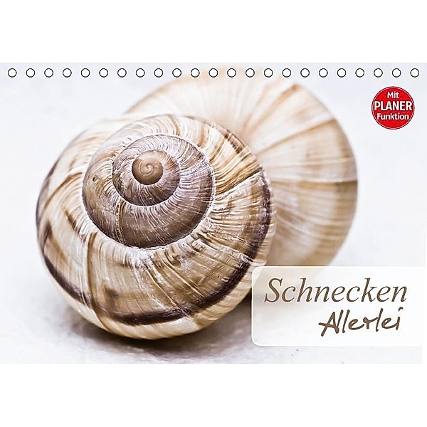 Schnecken Allerlei (Tischkalender 2017 DIN A5 quer), Stela-photoart, k.A. Stela-Photoart