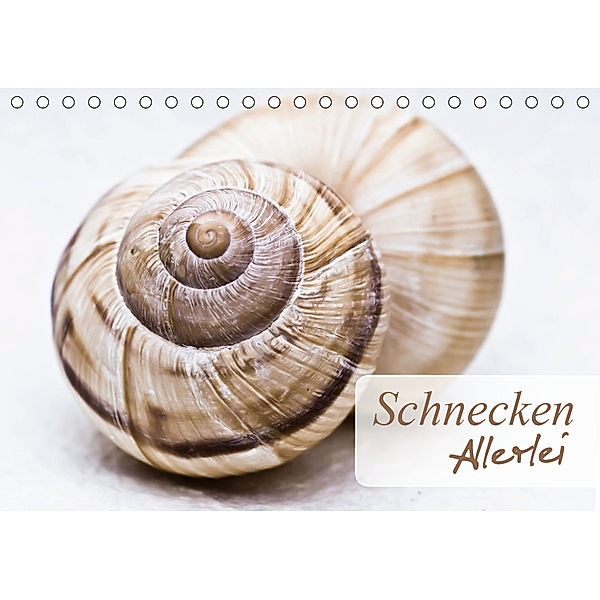 Schnecken Allerlei (Tischkalender 2019 DIN A5 quer), Stela-photoart