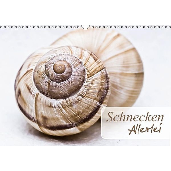 Schnecken Allerlei (Wandkalender 2017 DIN A3 quer), Stela-photoart, k.A. Stela-Photoart