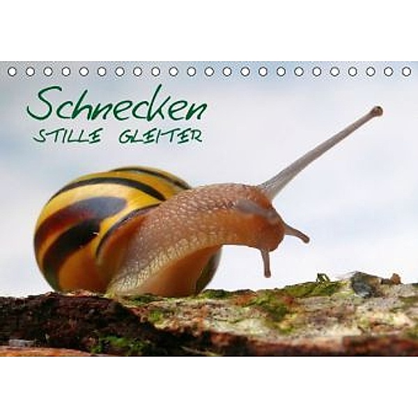 Schnecken - Stille Gleiter (Tischkalender 2015 DIN A5 quer), Ivan Jazbinszky