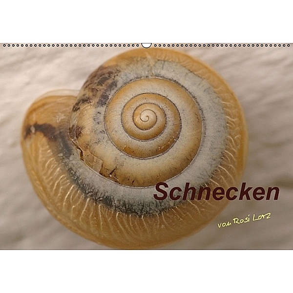 Schnecken (Wandkalender 2014 DIN A4 quer), LoRo-Artwork