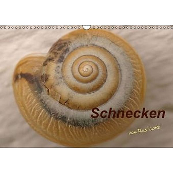 Schnecken (Wandkalender 2016 DIN A3 quer), LoRo-Artwork