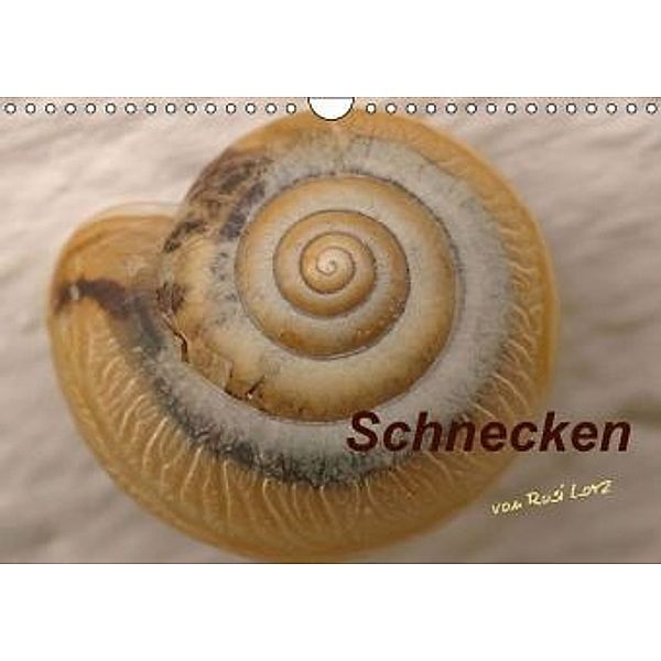 Schnecken (Wandkalender 2016 DIN A4 quer), LoRo-Artwork