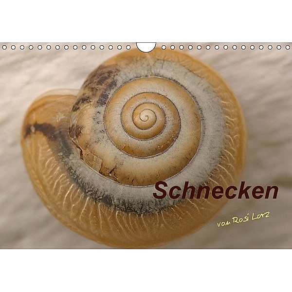 Schnecken (Wandkalender 2018 DIN A4 quer), LoRo-Artwork