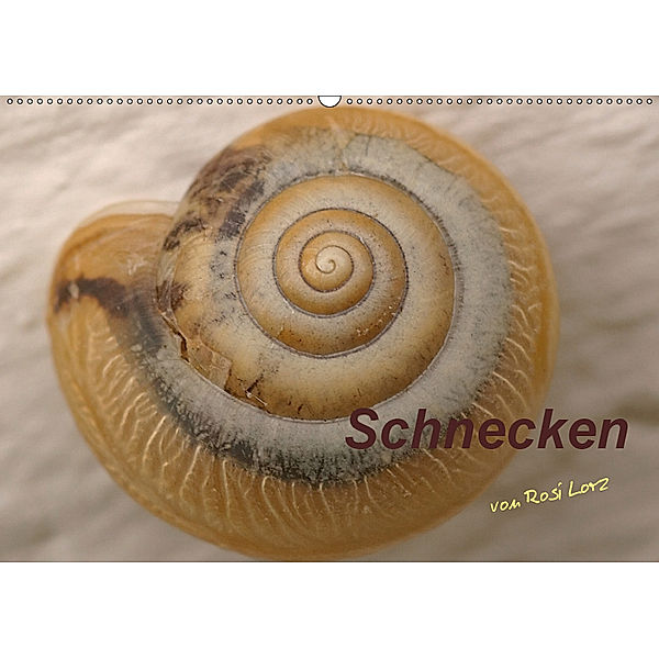 Schnecken (Wandkalender 2019 DIN A2 quer), LoRo-Artwork