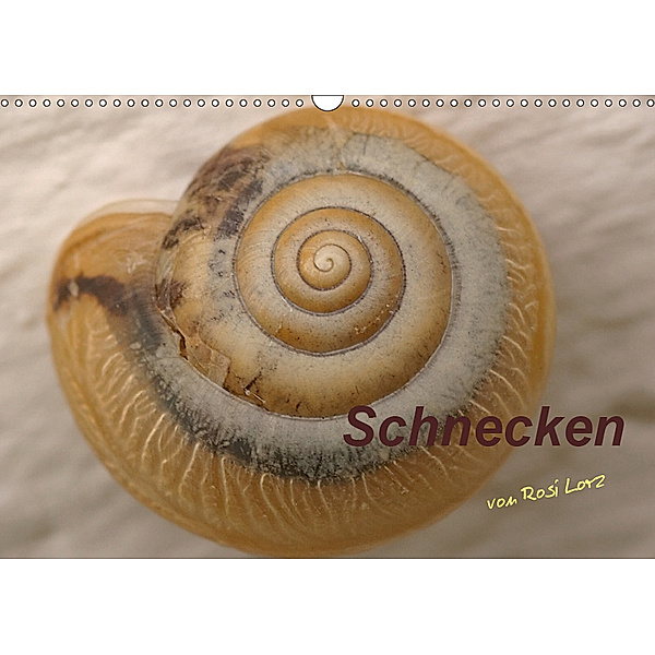 Schnecken (Wandkalender 2019 DIN A3 quer), LoRo-Artwork