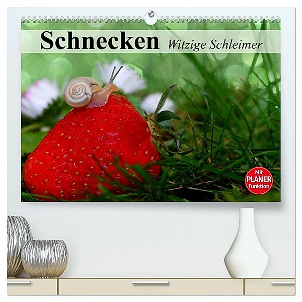 Schnecken. Witzige Schleimer (hochwertiger Premium Wandkalender 2024 DIN A2 quer), Kunstdruck in Hochglanz, Elisabeth Stanzer