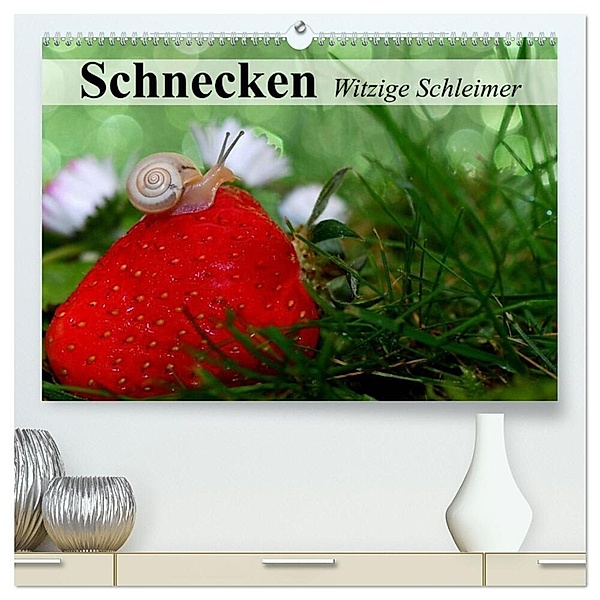 Schnecken. Witzige Schleimer (hochwertiger Premium Wandkalender 2024 DIN A2 quer), Kunstdruck in Hochglanz, Elisabeth Stanzer