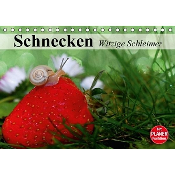 Schnecken. Witzige Schleimer (Tischkalender 2016 DIN A5 quer), Elisabeth Stanzer