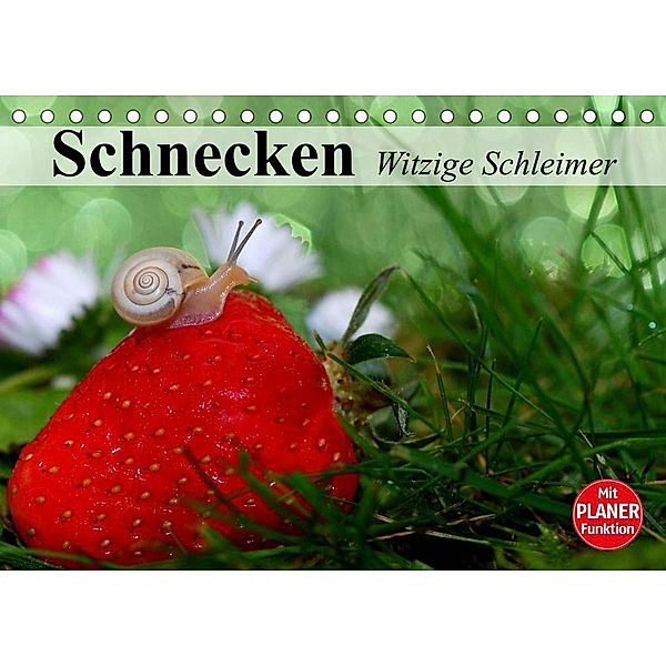 Schnecken. Witzige Schleimer (Tischkalender 2023 DIN A5 quer), Elisabeth Stanzer